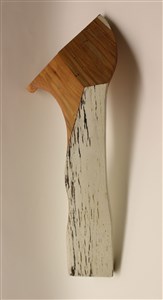 Image description is not available for 2024.097